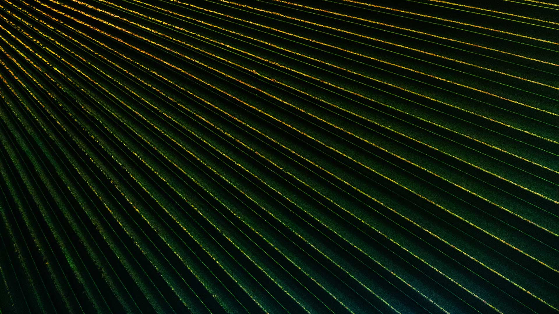 The Odd Number Background 8